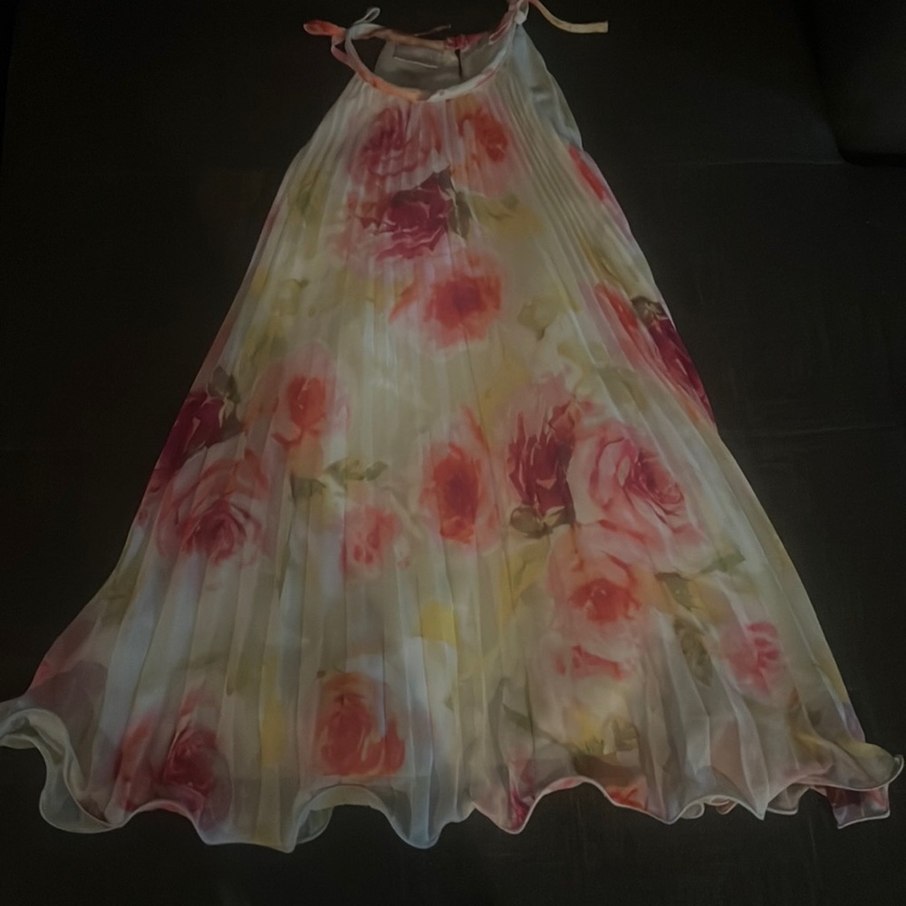 IRIS & IVY dress